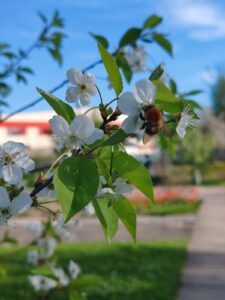 Фотовыставка «Природа родного края»