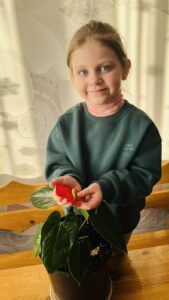 Фотовыставка «Мое любимое комнатное растение»