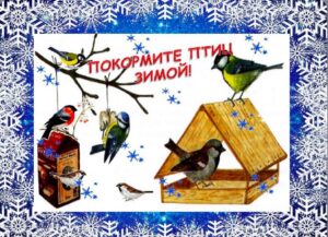 Экологическая акция «Поможем пернатым»